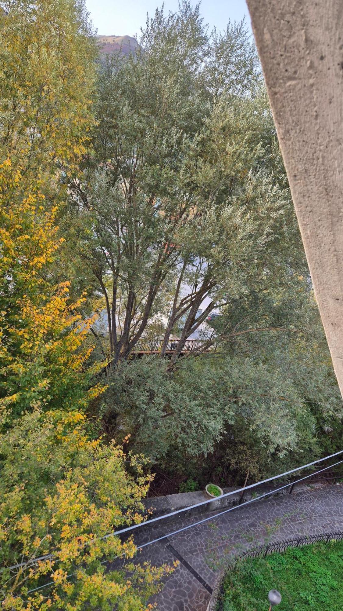 Apartamento Zia Peppa Castel Di Sangro Exterior foto